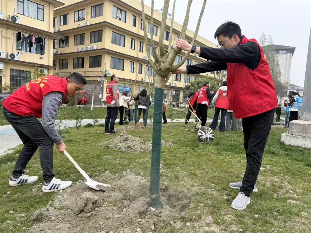 48.jpg